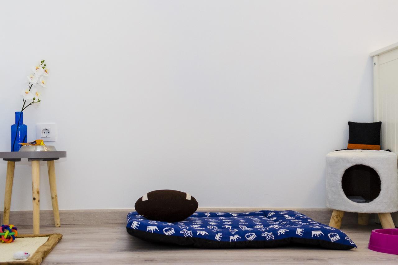 Apartup Viveros Pets Βαλένθια Εξωτερικό φωτογραφία